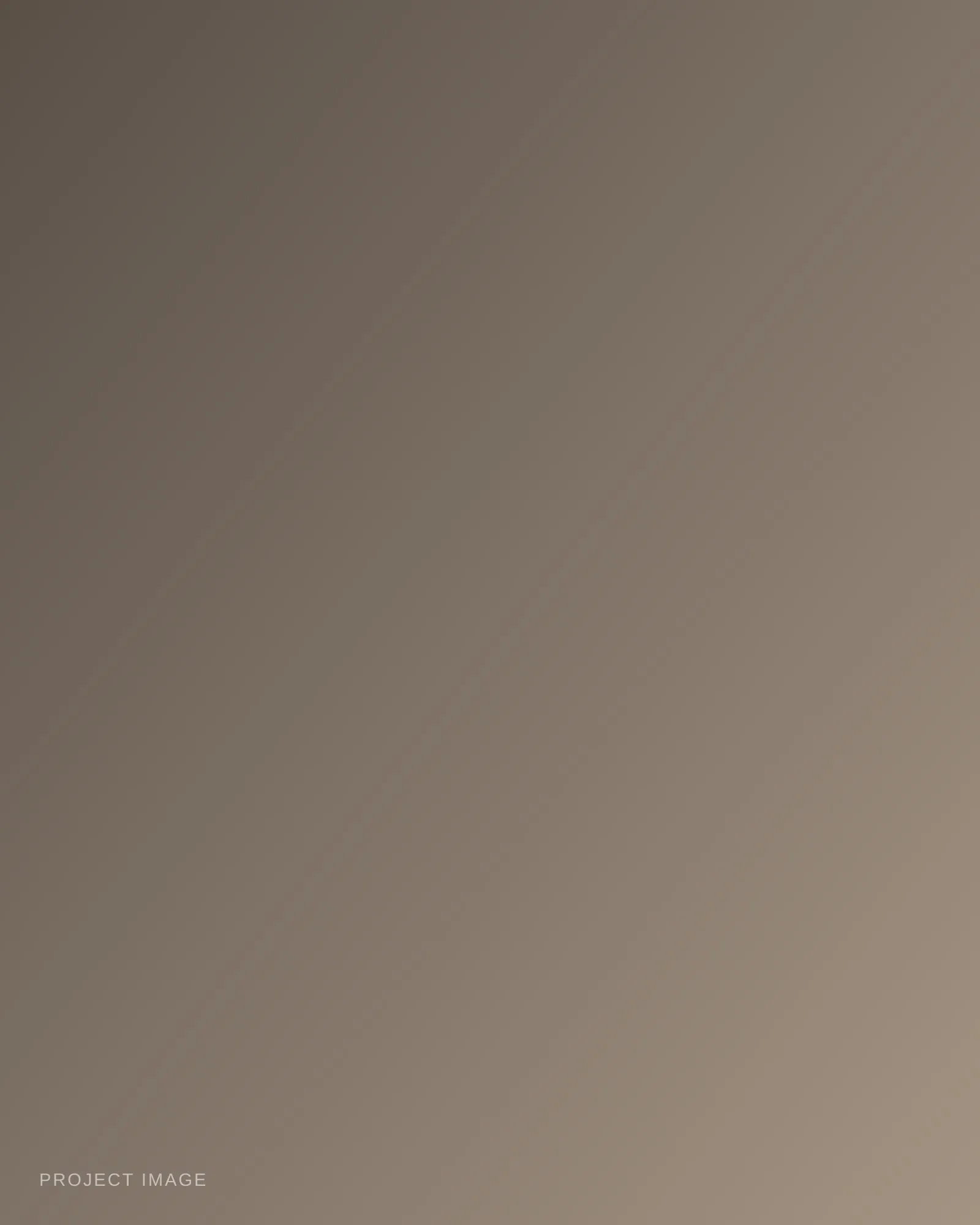 Placeholder — describe this image
