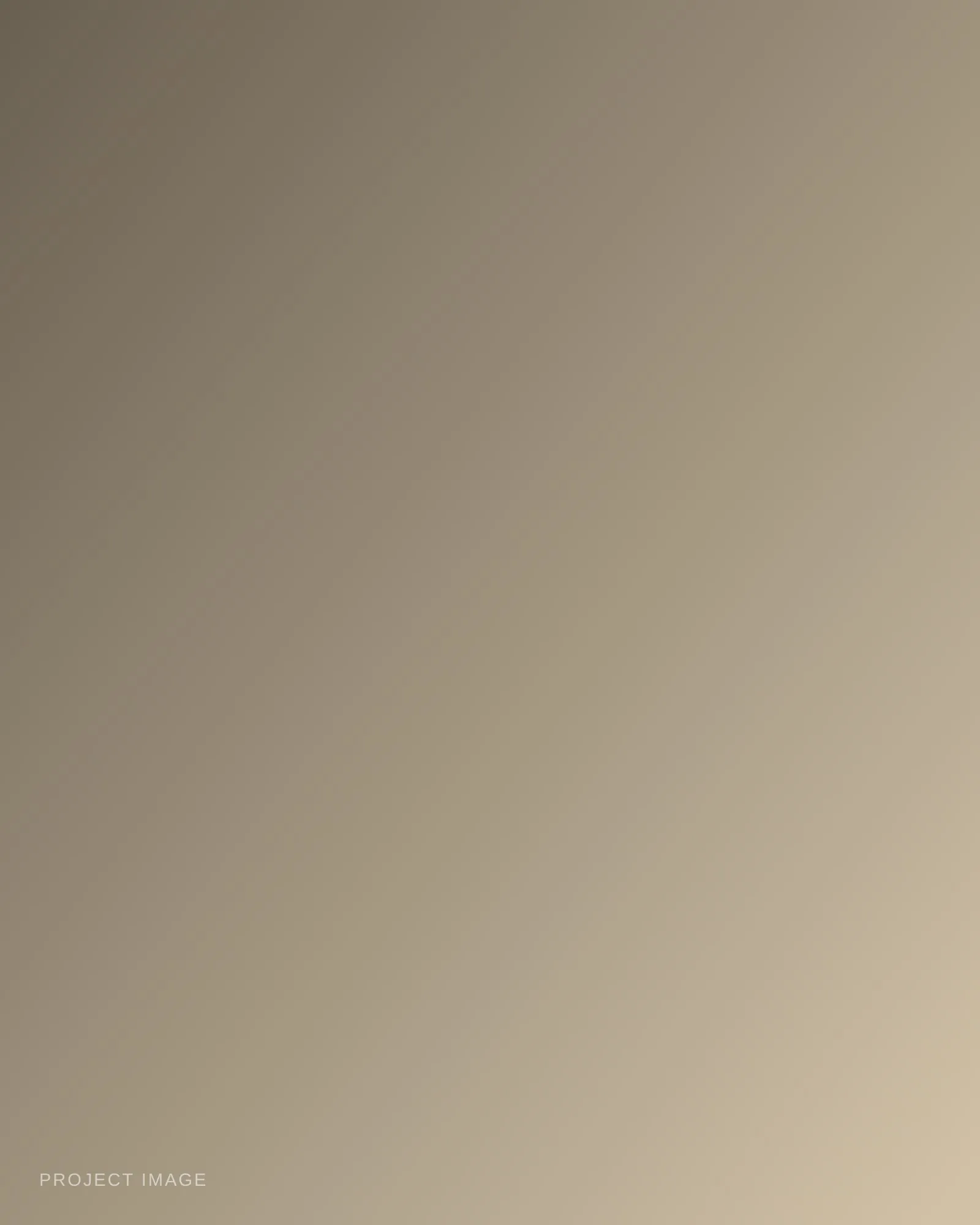 Placeholder — describe this image