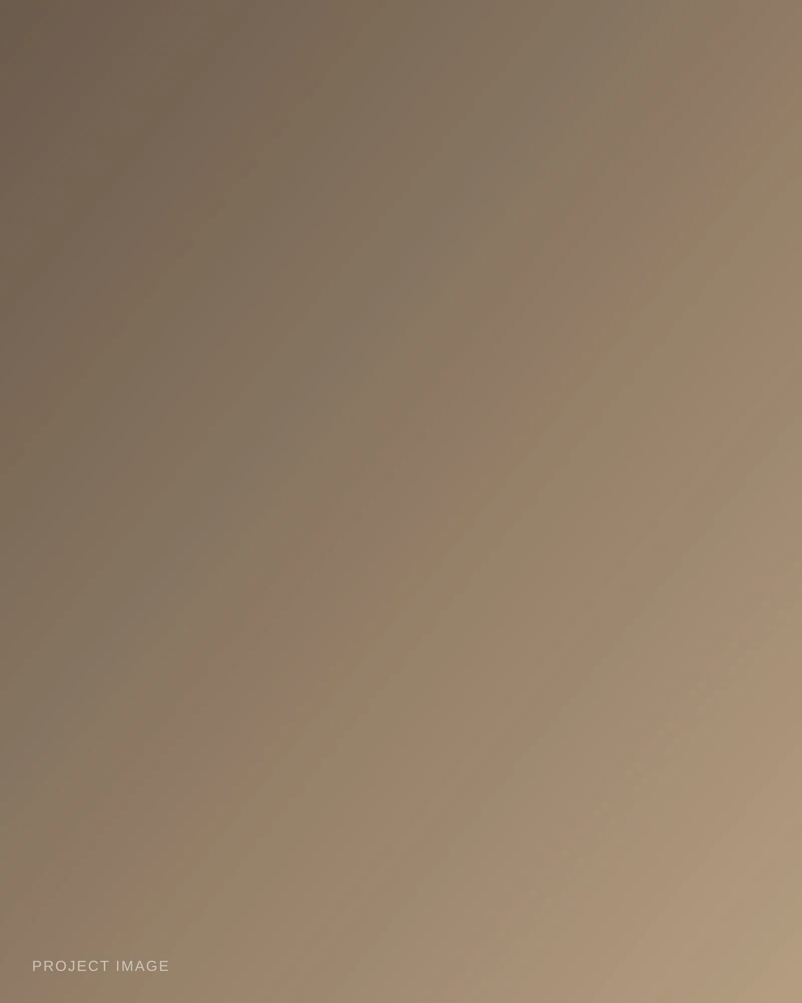 Placeholder — describe this image